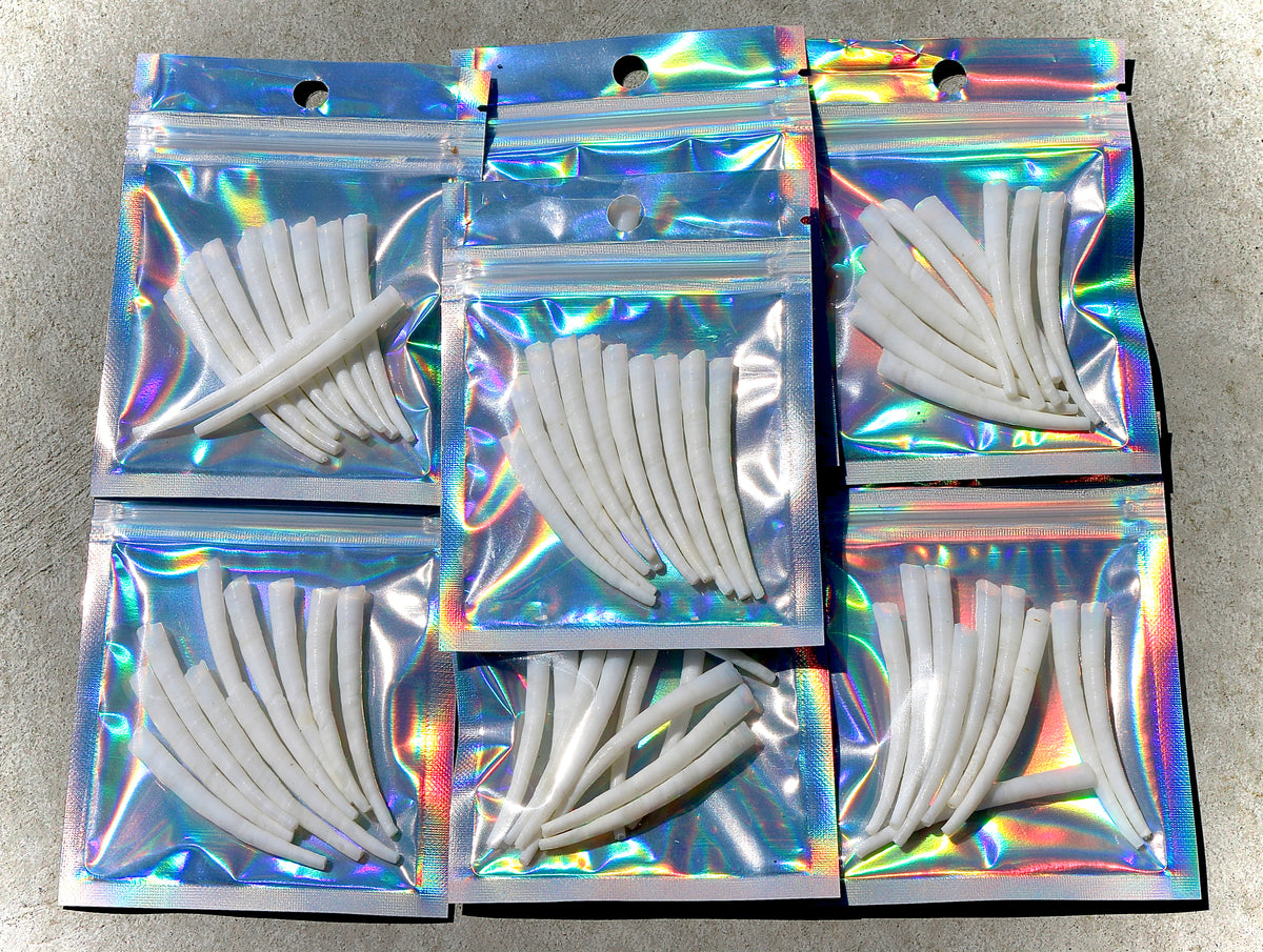2 Inch Smooth Dentalium Shells, Hupa, Yurok, Karuk, Native American, I ...